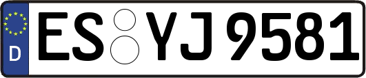 ES-YJ9581