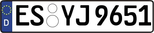 ES-YJ9651