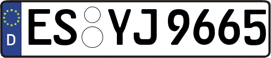 ES-YJ9665