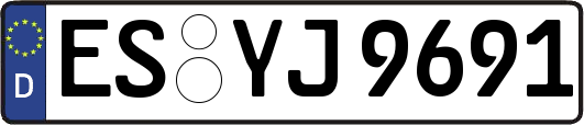 ES-YJ9691