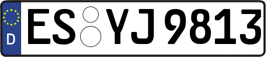 ES-YJ9813