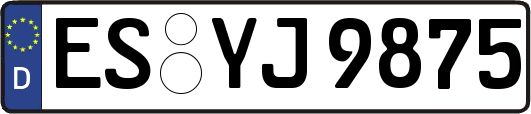 ES-YJ9875