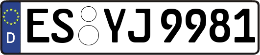 ES-YJ9981