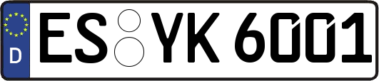 ES-YK6001