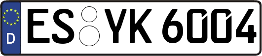 ES-YK6004