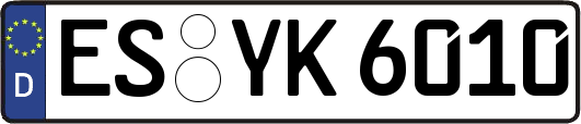 ES-YK6010
