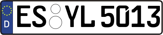 ES-YL5013