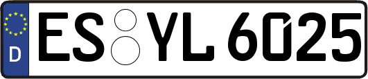 ES-YL6025