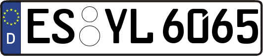 ES-YL6065