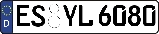 ES-YL6080