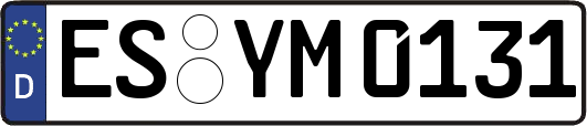 ES-YM0131