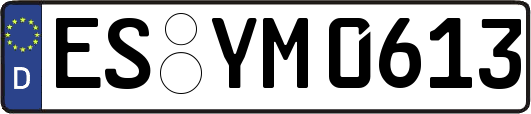 ES-YM0613
