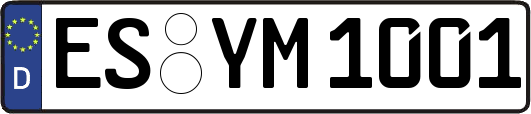 ES-YM1001