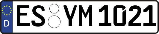 ES-YM1021