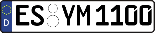 ES-YM1100