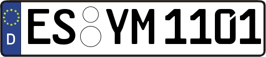 ES-YM1101