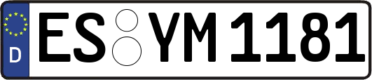 ES-YM1181