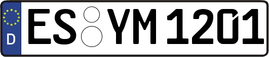 ES-YM1201