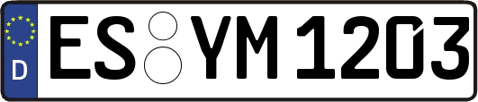 ES-YM1203