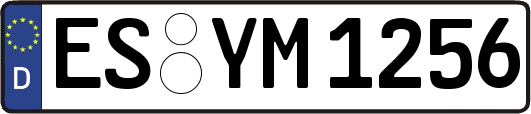 ES-YM1256