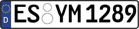 ES-YM1289