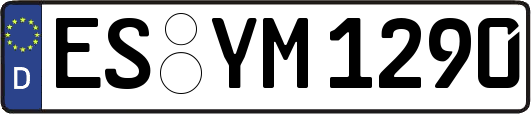 ES-YM1290