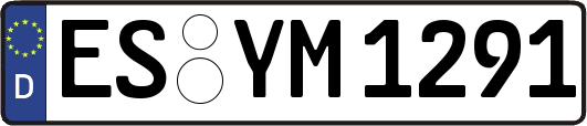 ES-YM1291