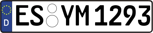 ES-YM1293