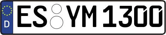 ES-YM1300