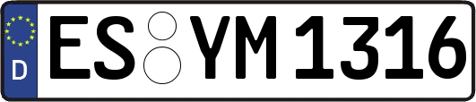 ES-YM1316