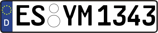 ES-YM1343