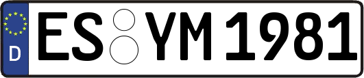 ES-YM1981