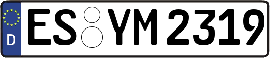 ES-YM2319