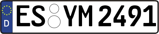 ES-YM2491