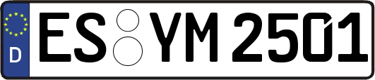 ES-YM2501