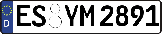 ES-YM2891