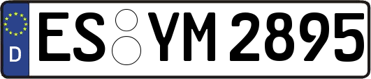 ES-YM2895