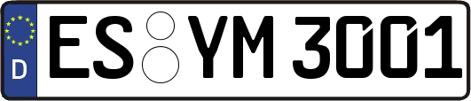 ES-YM3001