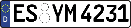 ES-YM4231