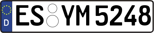 ES-YM5248