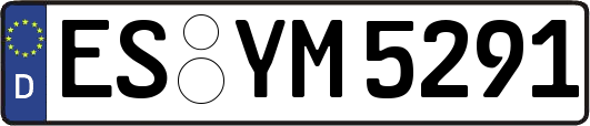 ES-YM5291