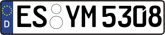 ES-YM5308