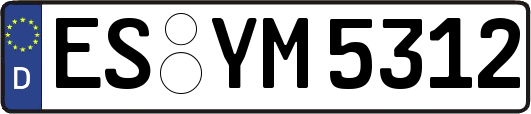 ES-YM5312