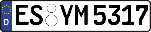 ES-YM5317