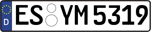 ES-YM5319