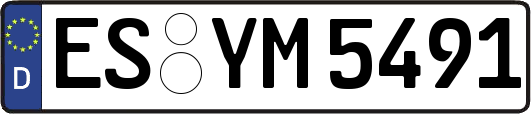 ES-YM5491