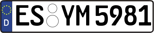 ES-YM5981