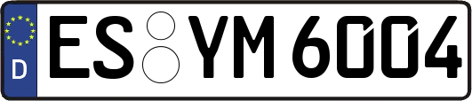 ES-YM6004