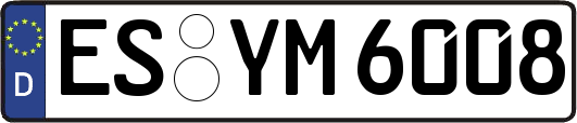 ES-YM6008