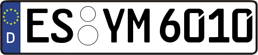 ES-YM6010
